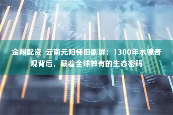 金鼎配资  云南元阳梯田刷屏：1300年水镜奇观背后，藏着全球独有的生态密码