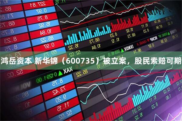 鸿岳资本 新华锦(600735)被立案,股民索赔可期